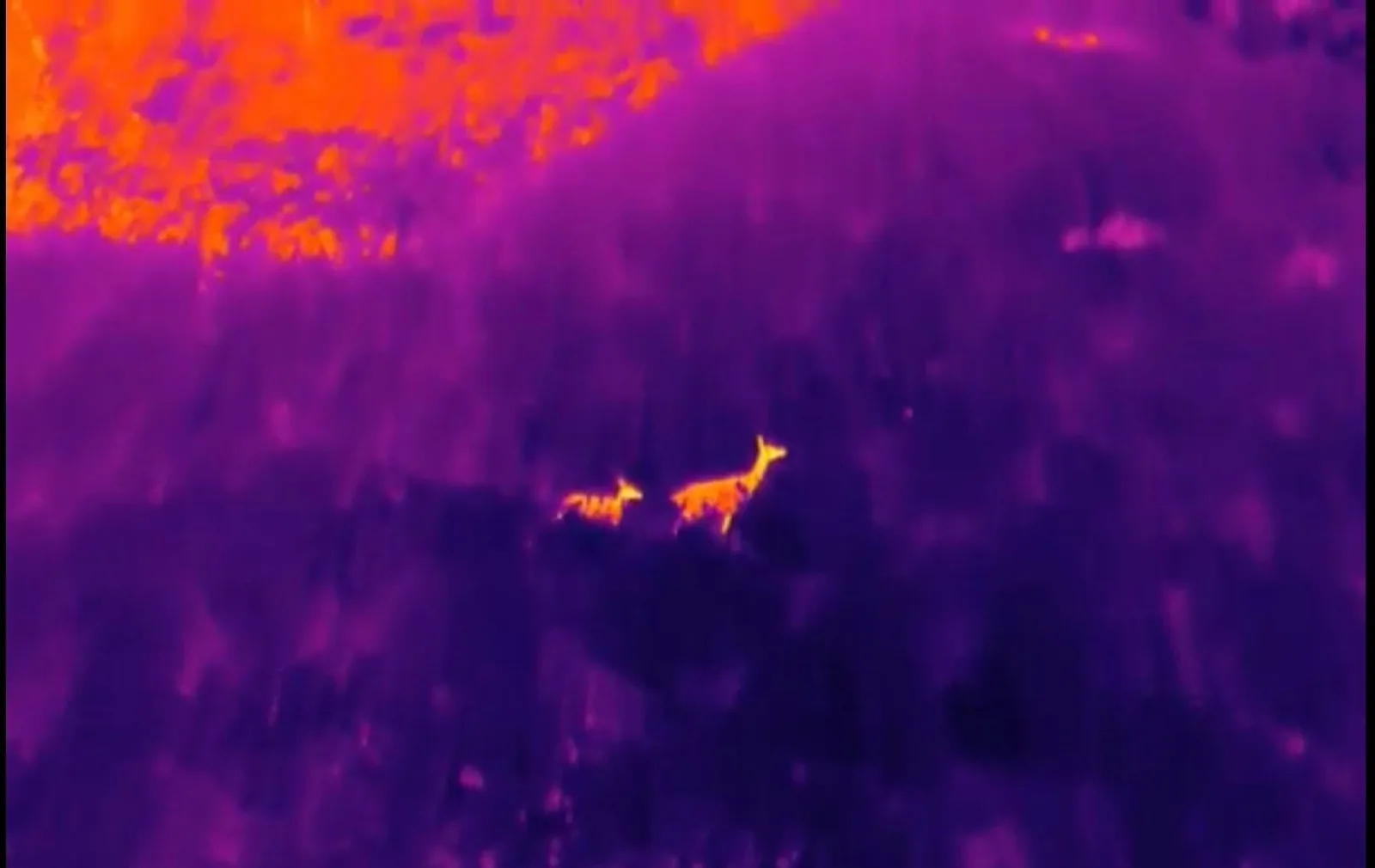 Search and Rescue — aerial imagery